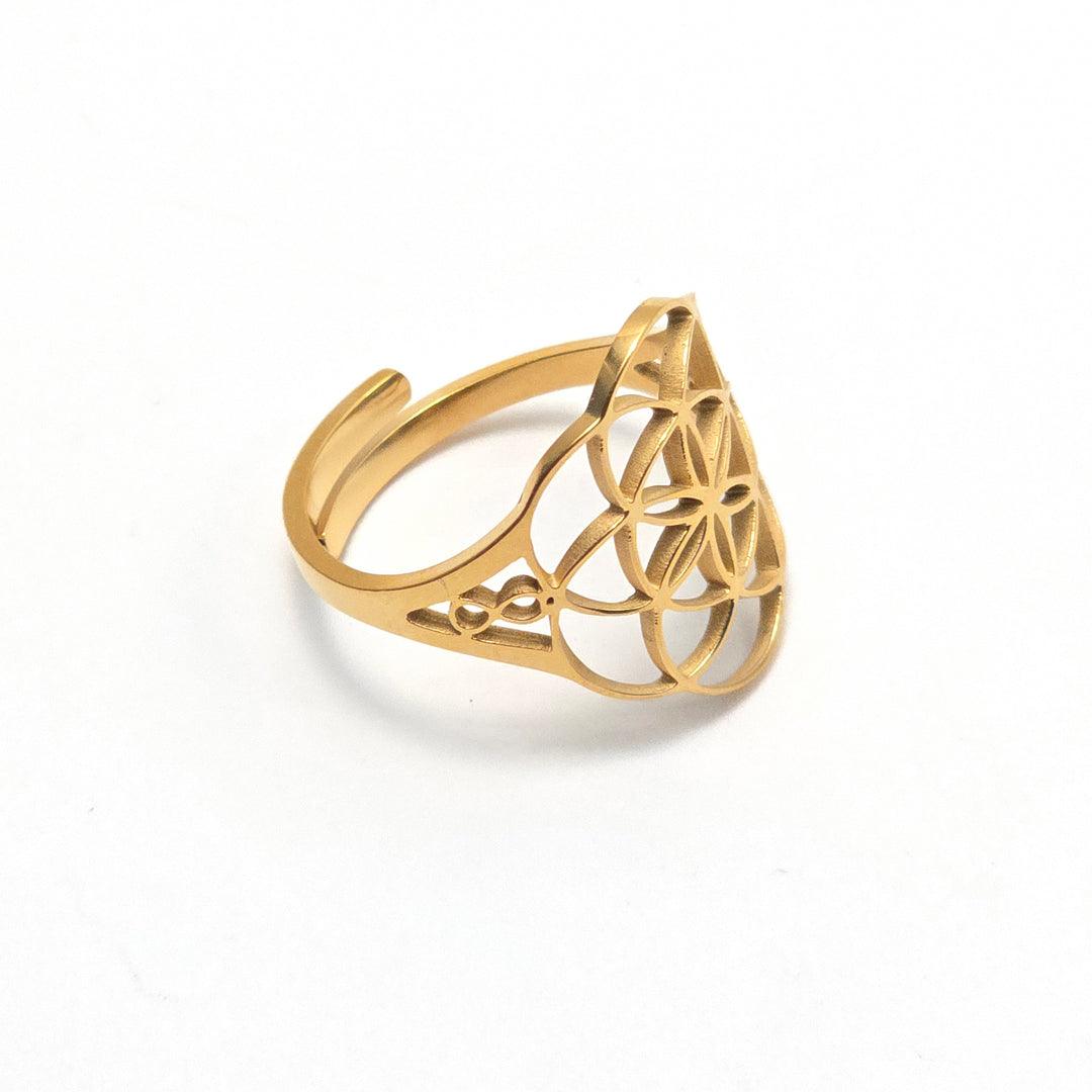 Divinity Infinity Ring V2 with 7.83Hz Frequency