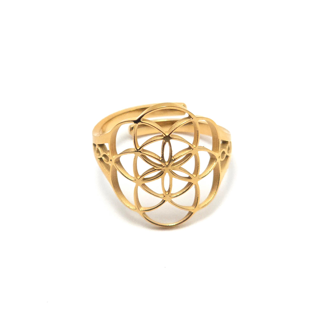 Divinity Infinity Ring V2 with 7.83Hz Frequency