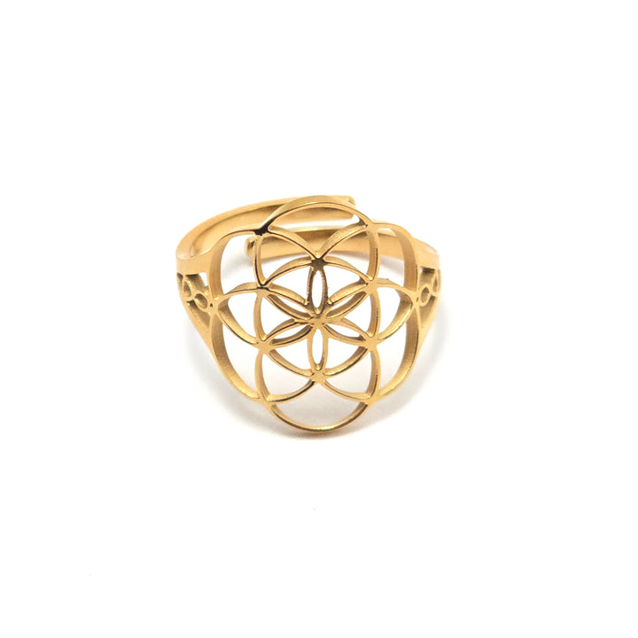 Divinity Infinity Ring V2 with 7.83Hz Frequency