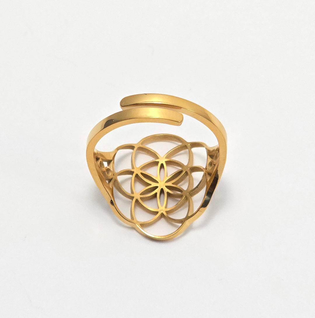 Divinity Infinity Ring V2 with 7.83Hz Frequency