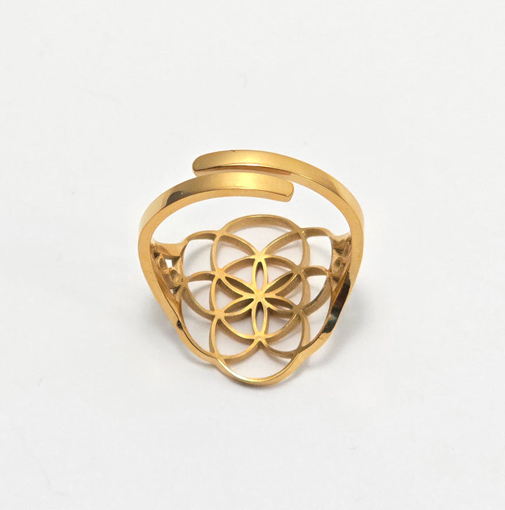 Divinity Infinity Ring V2 with 7.83Hz Frequency